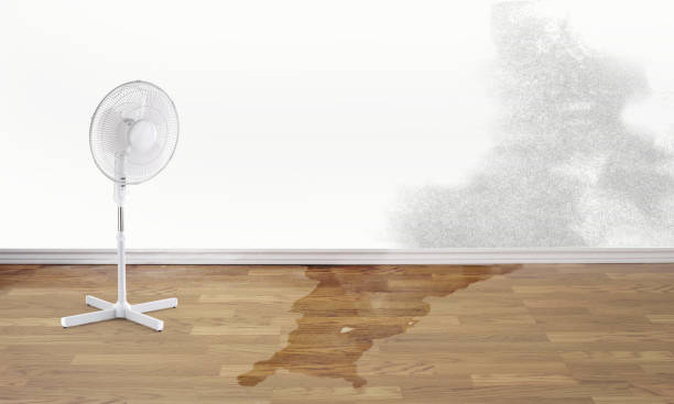 Best 24-hour water damage restoration  in Rancho Cumonga, CA