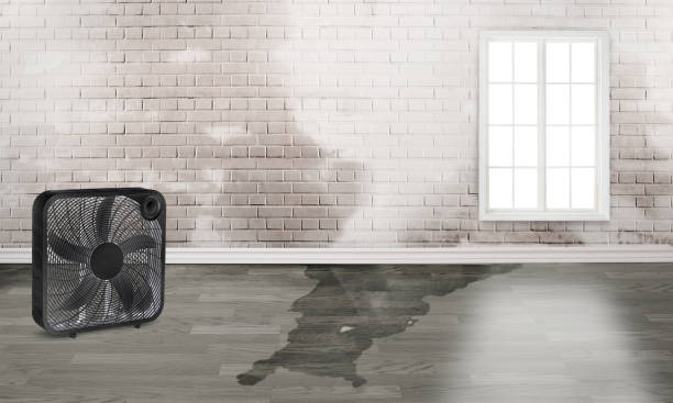 Best Basement water damage restoration  in Rancho Cumonga, CA